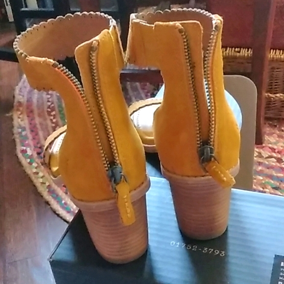 brielle scallop back zip